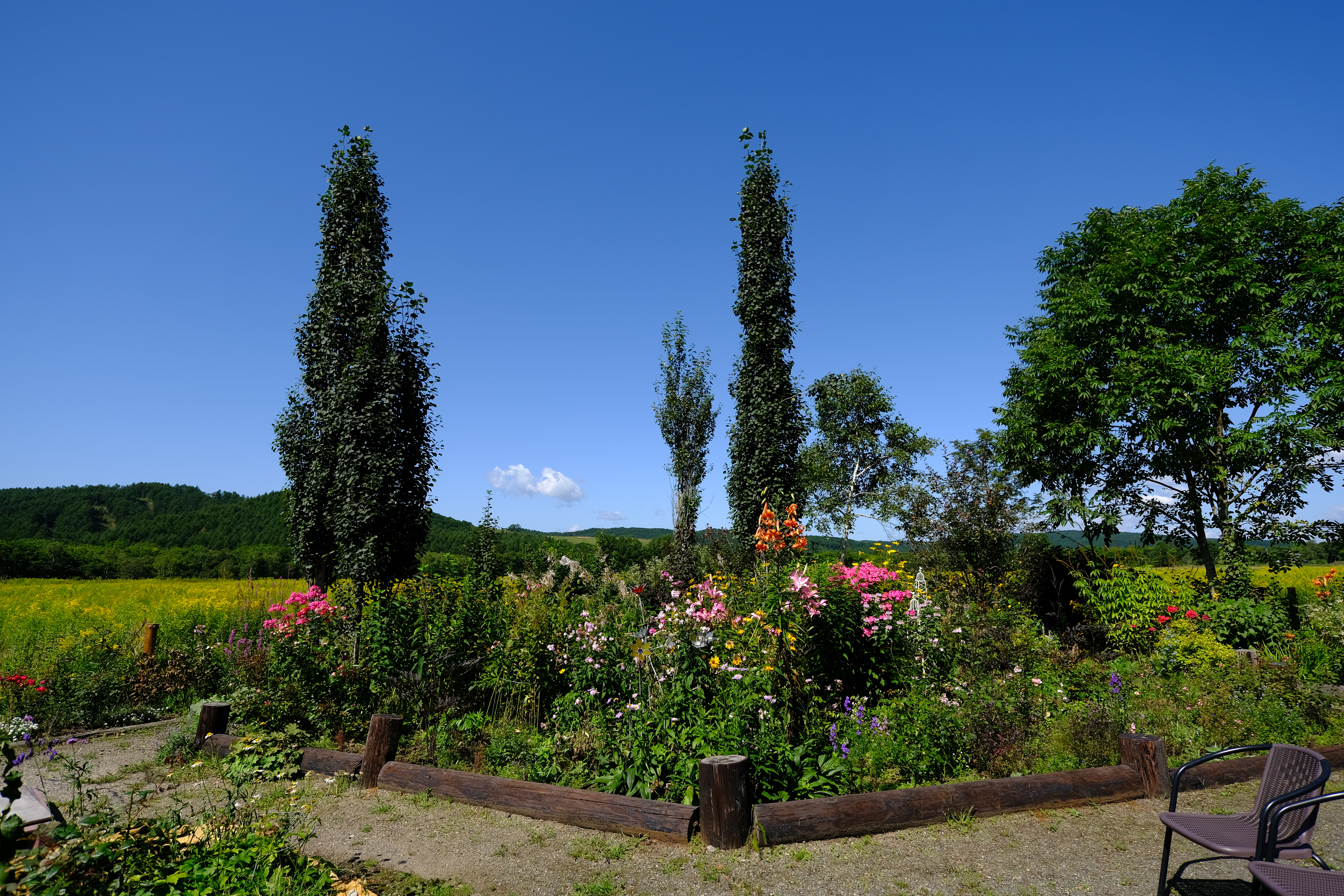 北海道のローズガーデン・鶴居村の丹頂と薔薇のどれみふぁ空ガーデン