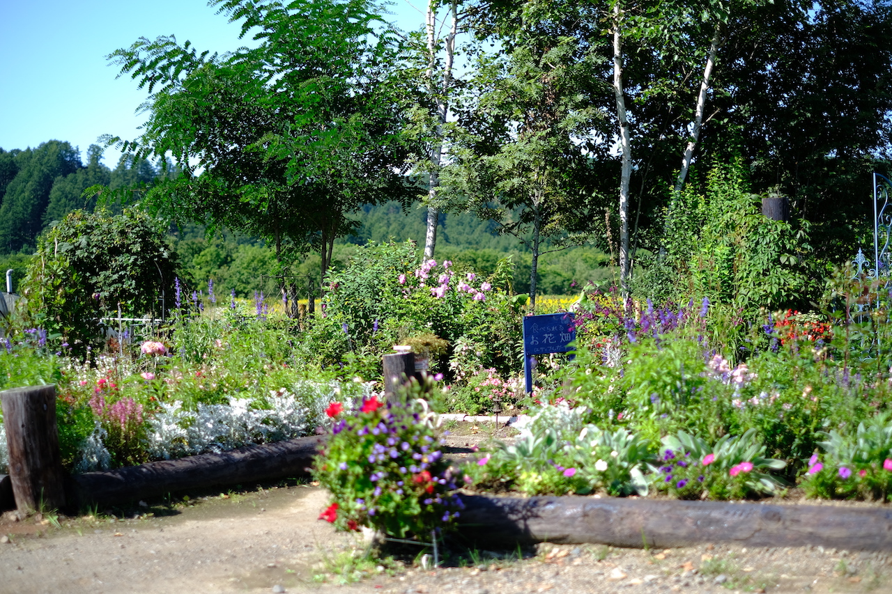 北海道のローズガーデン・鶴居村の丹頂と薔薇のどれみふぁ空ガーデン