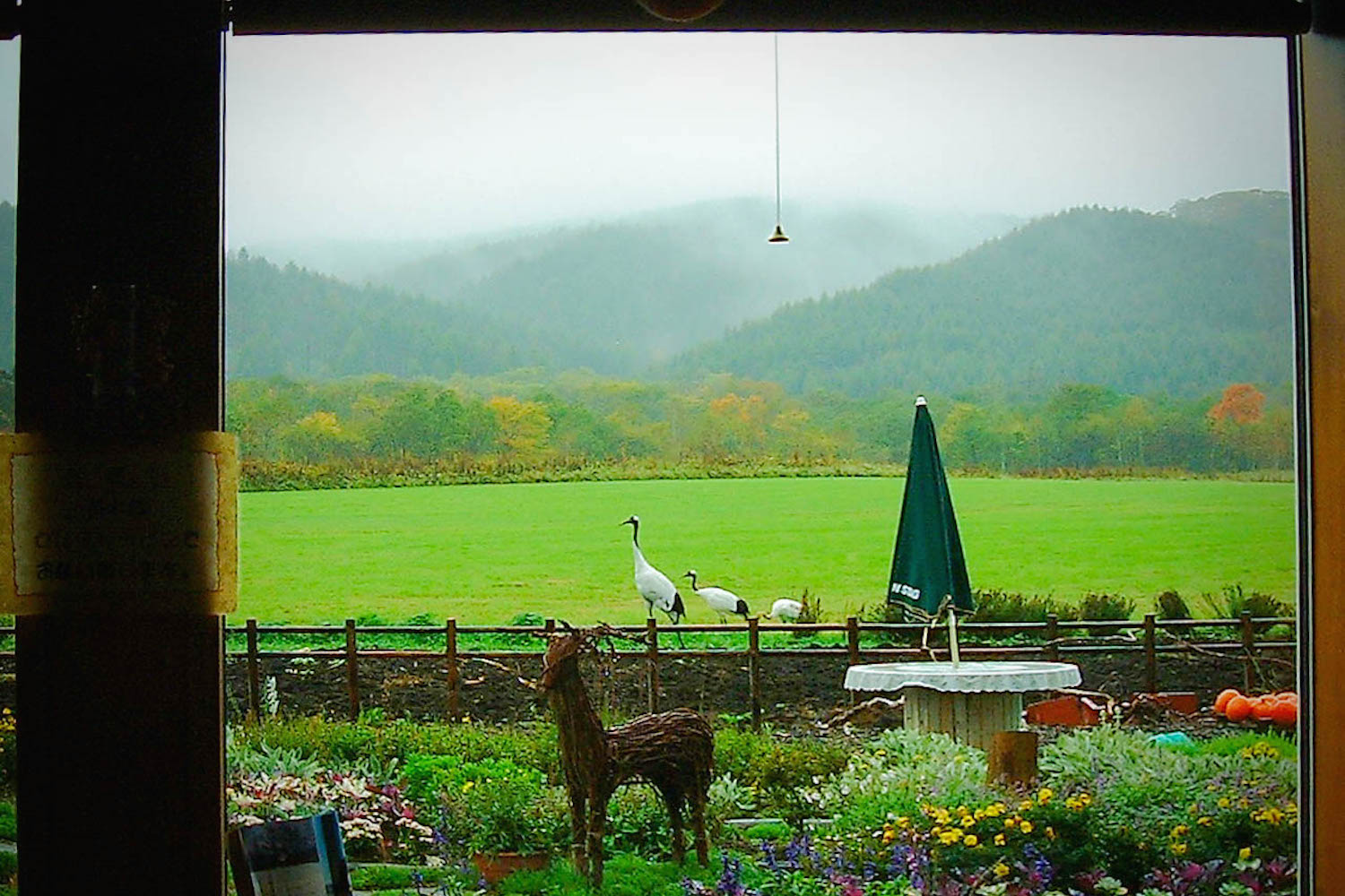 远眺北海道花园风光，伴随着丹顶鹤群舞，享受健康的午餐，这就是鹤居村的餐厅『音乐天空』