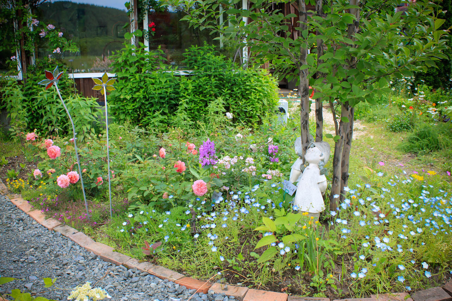 Healthy lunch , fine view of Japanese red-crowned crane & Hokkaido Garden from restaurant Doremifa-sora in Tshurui-mura