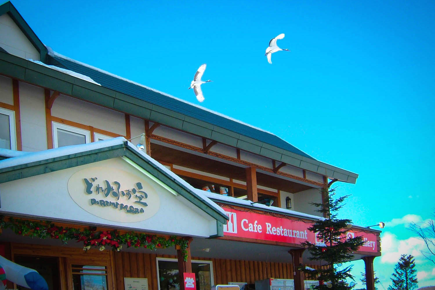 北海道ガーデン9