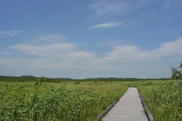 鶴居村10