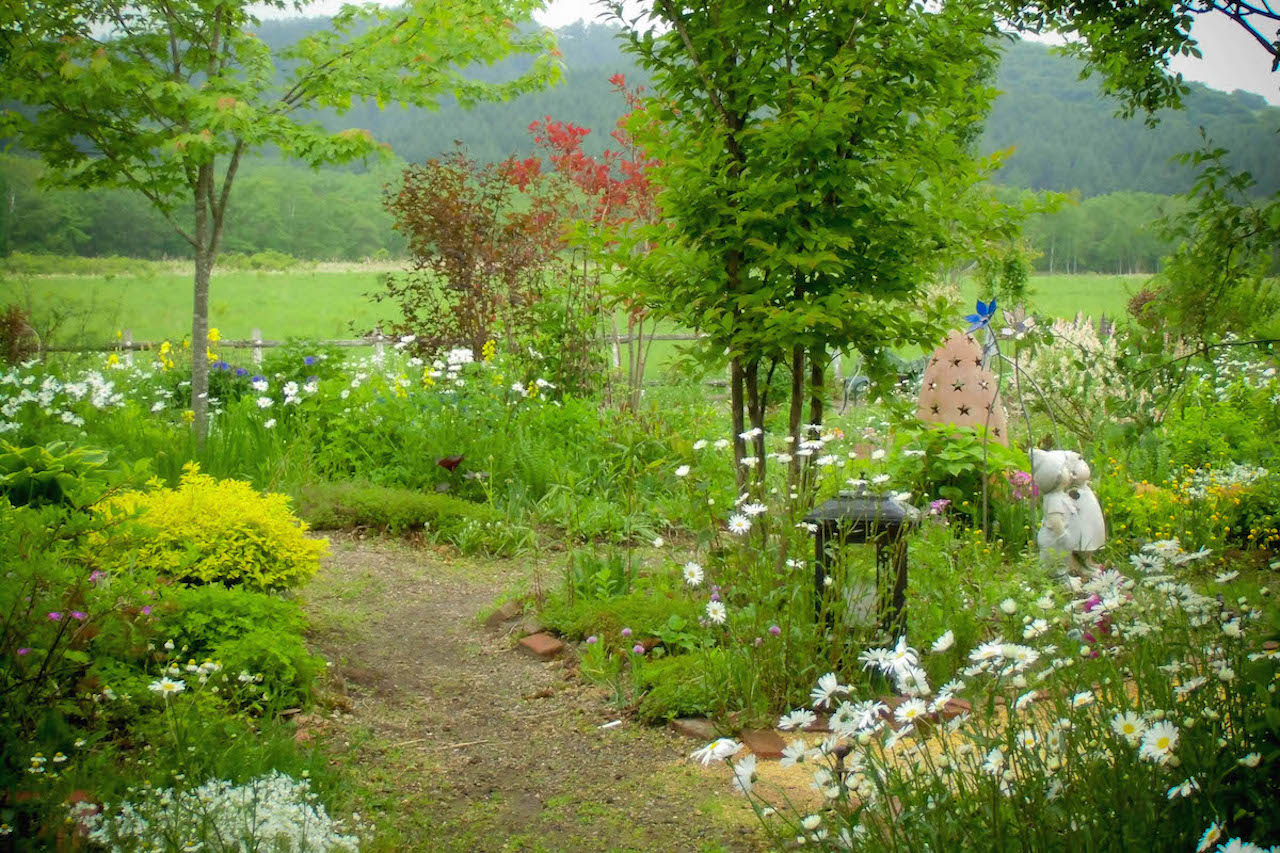 远眺北海道花园风光，伴随着丹顶鹤群舞，享受健康的午餐，这就是鹤居村的餐厅『音乐天空』