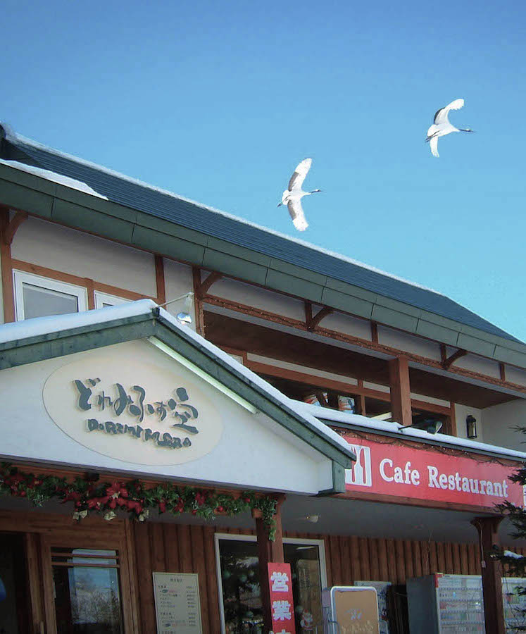Japanese crane form Doremifa-sora