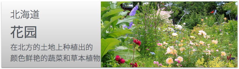北海道花园